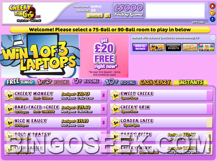 Cheeky Bingo Lobby